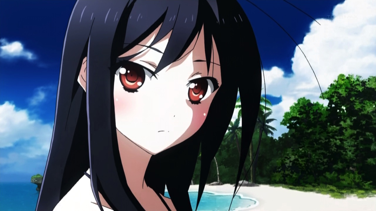 accel world season 2 possible