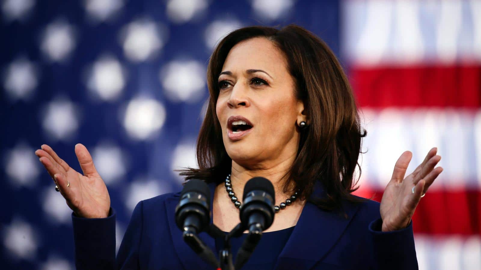 Everything You Need To Know About Kamala Harris | Storify News